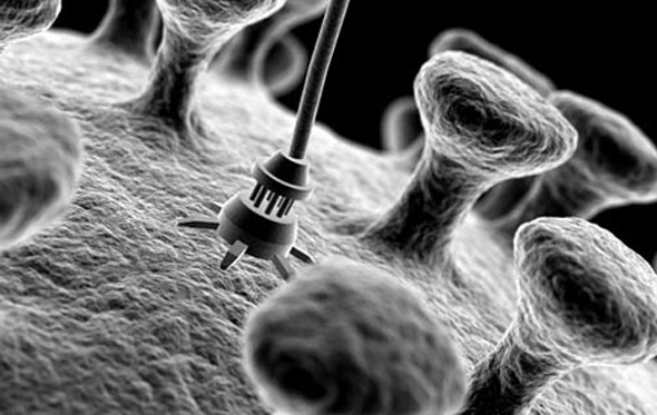 Nedir Nano Dedikleri?