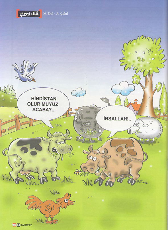 Hindistan Olur muyuz Acaba?