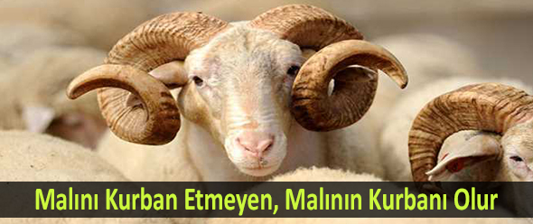 Kurban Kessen İyi Olur...