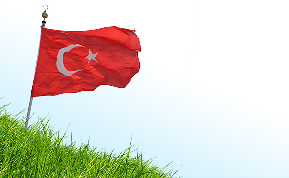 Bayrakları Bayrak Yapan Nedir?