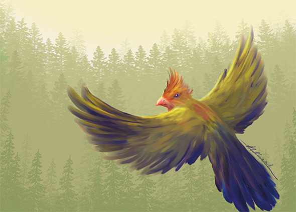 Süleyman Dili