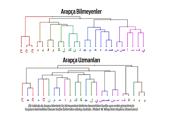 Fotoğrafçı Titizliğiyle Bakmak