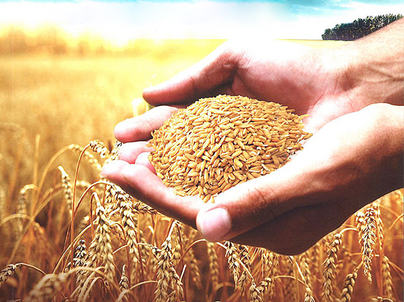 Helâl Kazancın Bereketi Daim Olur