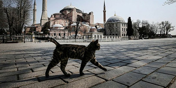 Bu Bayram Başka!