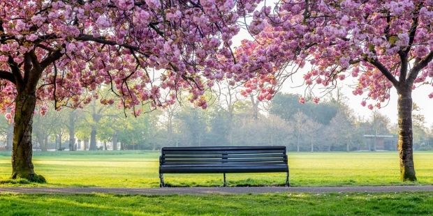 Alaşağı Edilmiş Göğün Altında İçli Bir Monolog