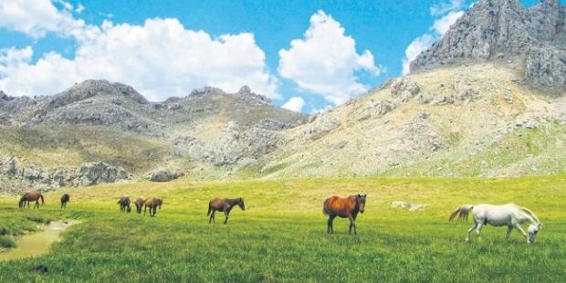 Peşimizdeki Atlılar