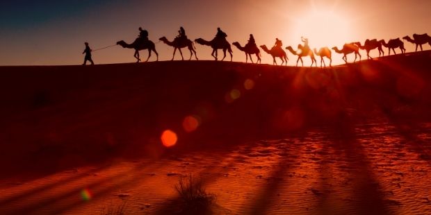 Bir Hicret Hikayesi